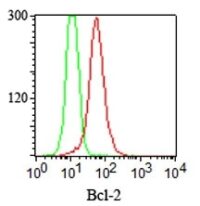 Staining with mouse monoclonal Bcl-2 [Clone 100/D5] antibody in formalin-fixed paraffin-embedded Jurkat cells. Staining is intercellular (red) with isotype control (green).